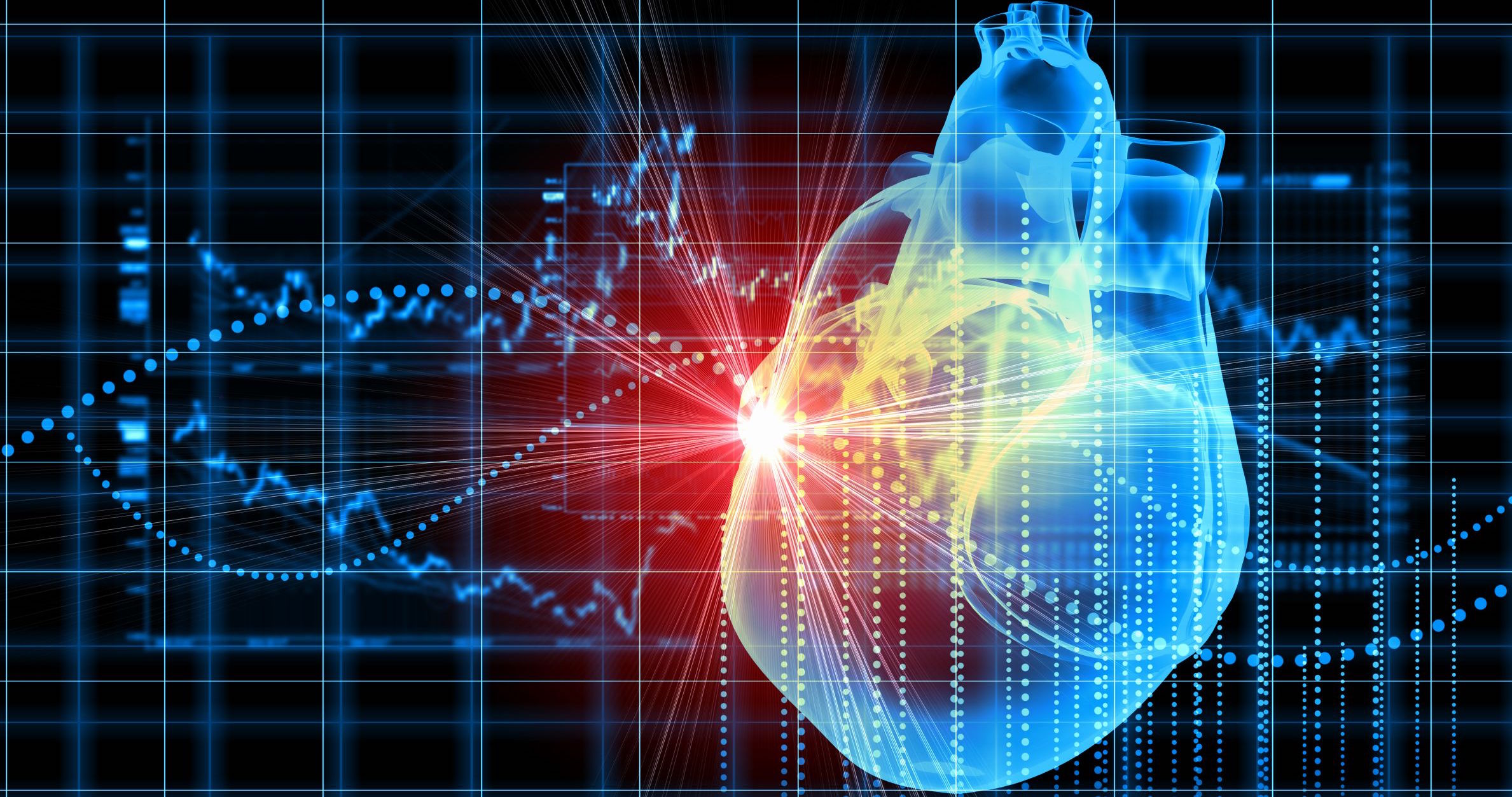 Un estudio demuestra que los corazones adultos no contienen células madre...