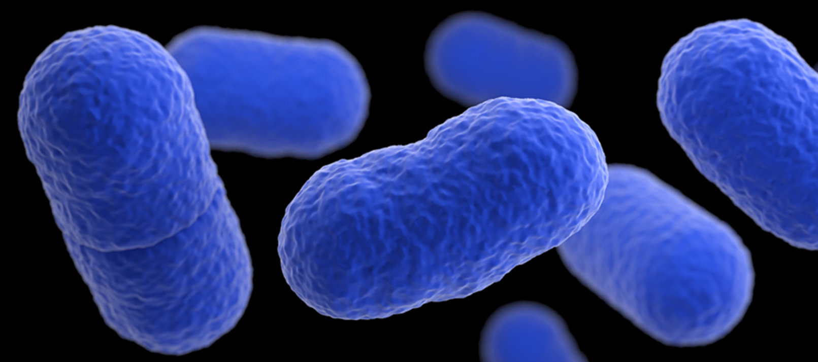 Alertan del incremento en España de los casos de Listeria, la bacteria más letal de los alimentos...