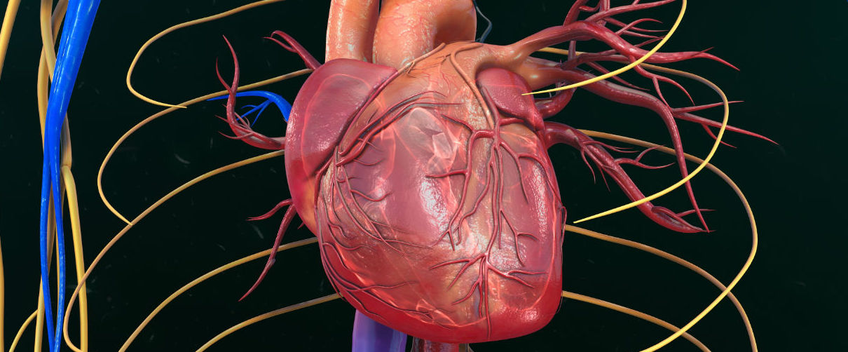 Un inhibidor SGLT-2, ofrece beneficio cardiovascular en no diabéticos con insuficiencia cardiaca...