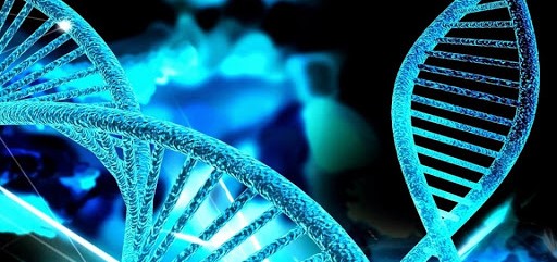 El primer estudio de edición genética en pacientes con cáncer muestra que la técnica es segura y...