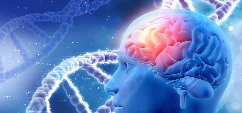 Identifican 33 nuevas variantes genéticas asociadas a trastorno bipolar...