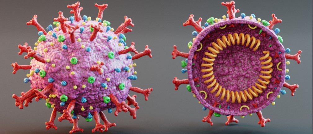 Una mutación de la proteína S del SARS-CoV-2 puede mejorar el desarrollo de vacunas contra el Covi...