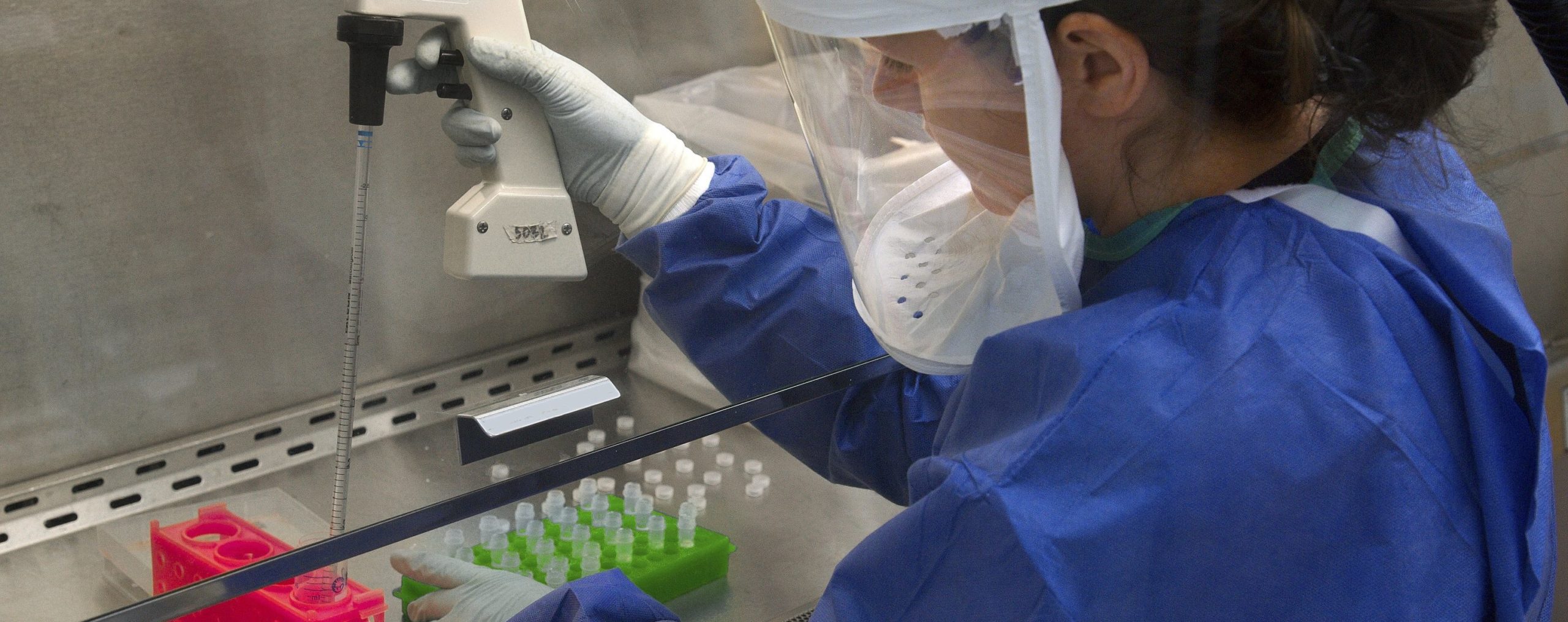 ¿Por qué preocupa el virus H5N1 a los expertos?...