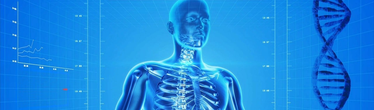 Los genes que conforman nuestros huesos...