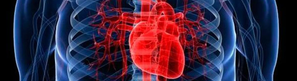 Identifican el gen detrás de los defectos cardíacos en el síndrome de Down...