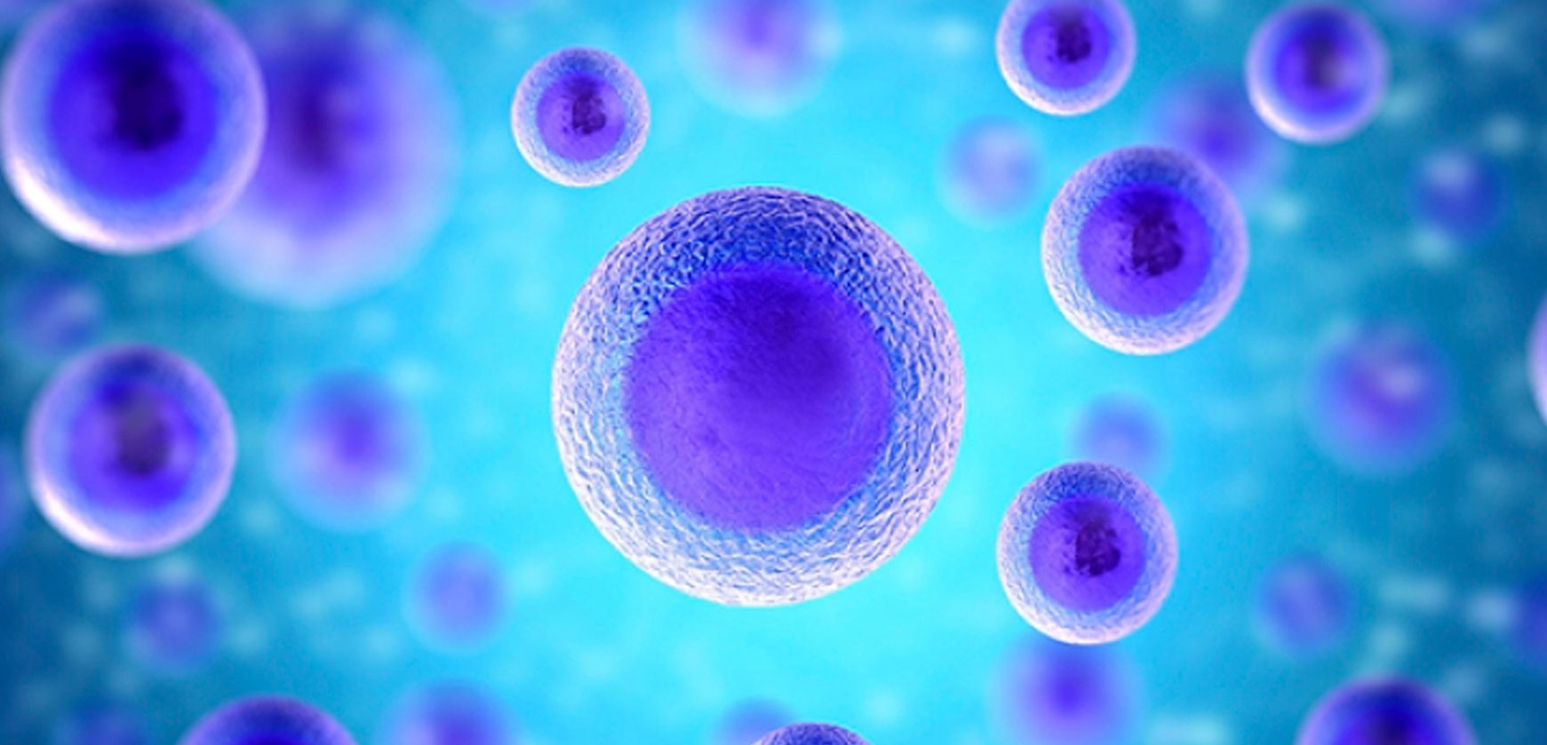 Researchers confine mature cells to turn them into stem cells...