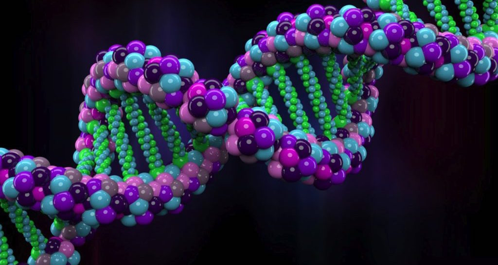 Human genome could contain up to 20 percent fewer genes, researchers reveal...