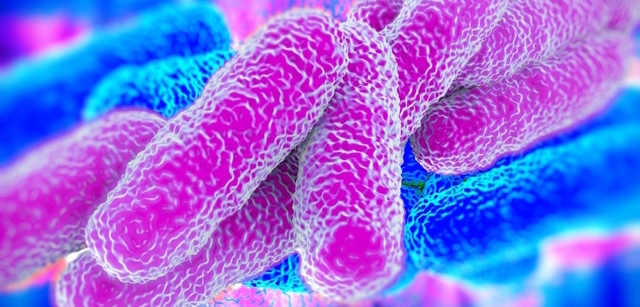 Nuevos hallazgos sobre la presencia en hospitales de una de las bacterias más resistentes a antibi...