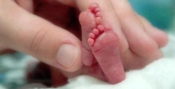El primer útero artificial que desarrollaron en Holanda y permitirá «renacer» a los bebés...