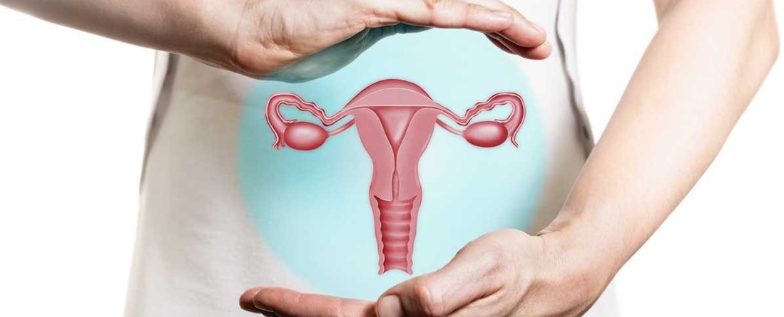 Identifican la causa genética de la endometriosis y revelan una posible diana farmacológica...