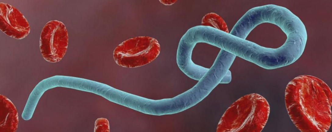 La Universidad de Oxford comienza un ensayo en humanos para una vacuna contra el ébola...