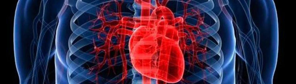 Sant Joan de Déu y el Clínic aplican por primera vez en España la cirugía cardíaca robótica en...
